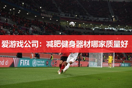 爱游戏公司：减肥健身器材哪家质量好