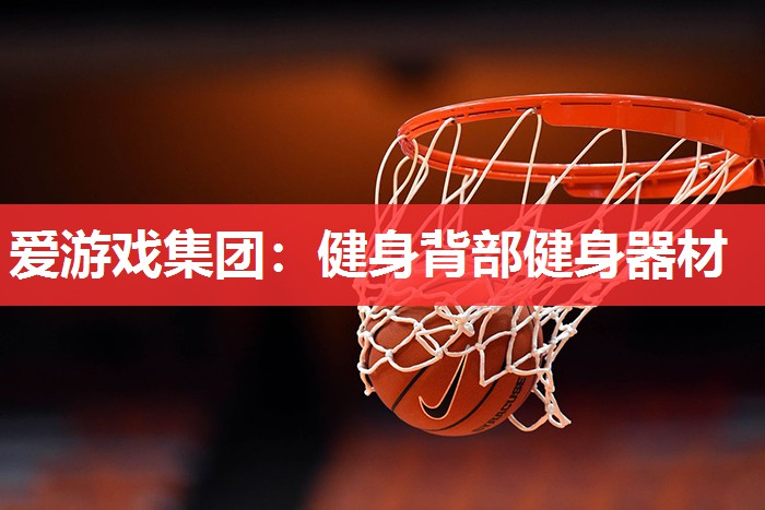爱游戏集团：健身背部健身器材