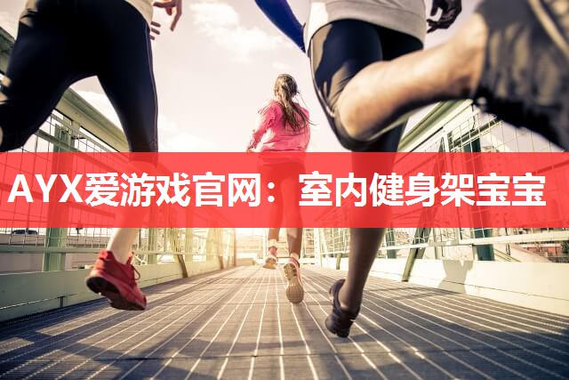 AYX爱游戏官网：室内健身架宝宝