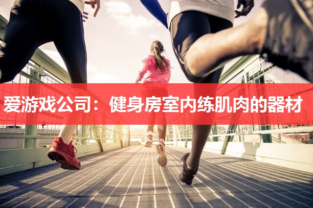 爱游戏公司：健身房室内练肌肉的器材