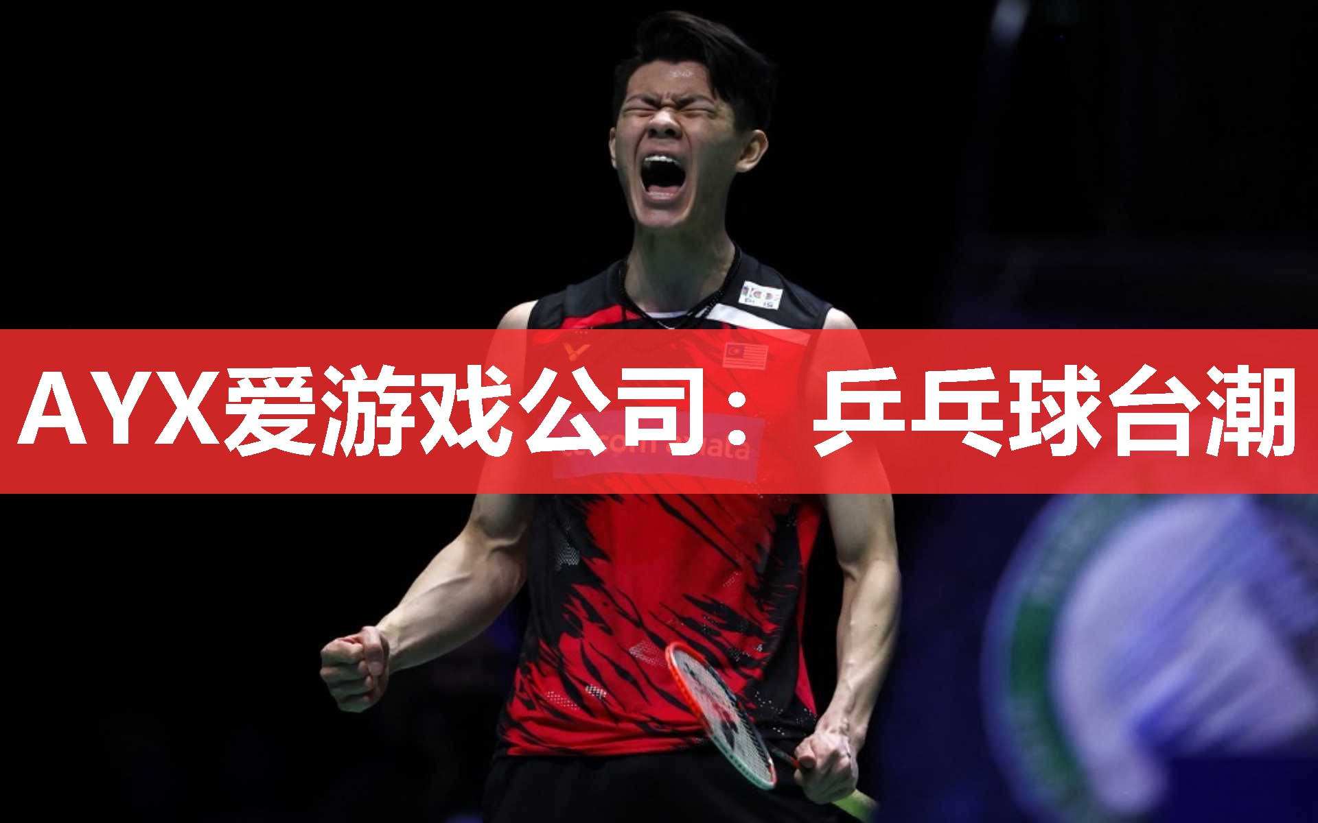 AYX爱游戏公司：乒乓球台潮