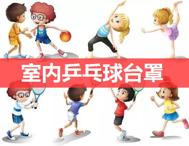 室内乒乓球台罩