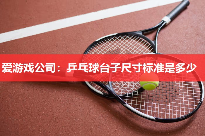 爱游戏公司：乒乓球台子尺寸标准是多少