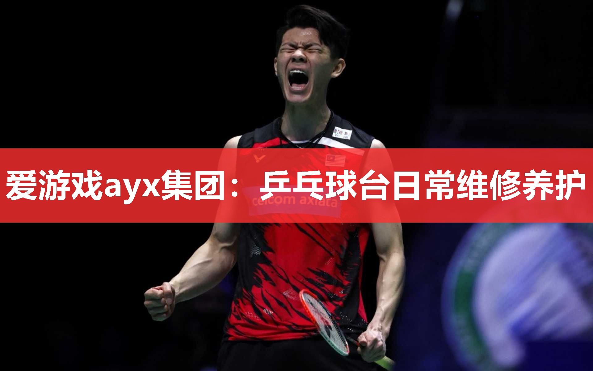 爱游戏ayx集团：乒乓球台日常维修养护