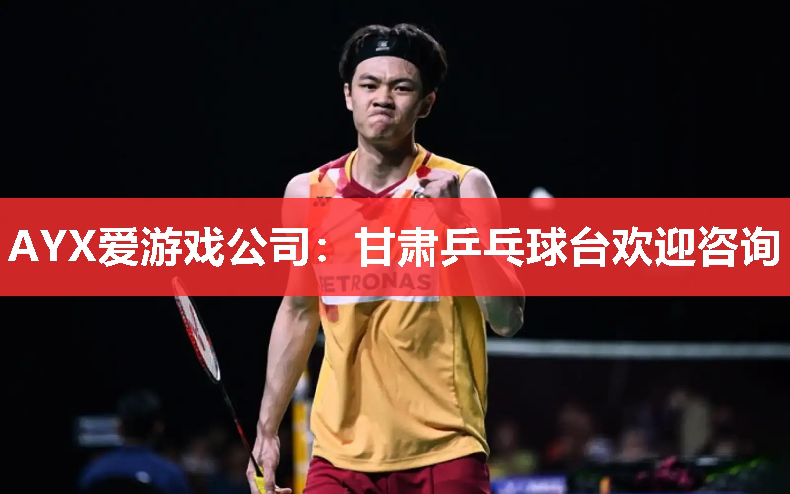 AYX爱游戏公司：甘肃乒乓球台欢迎咨询