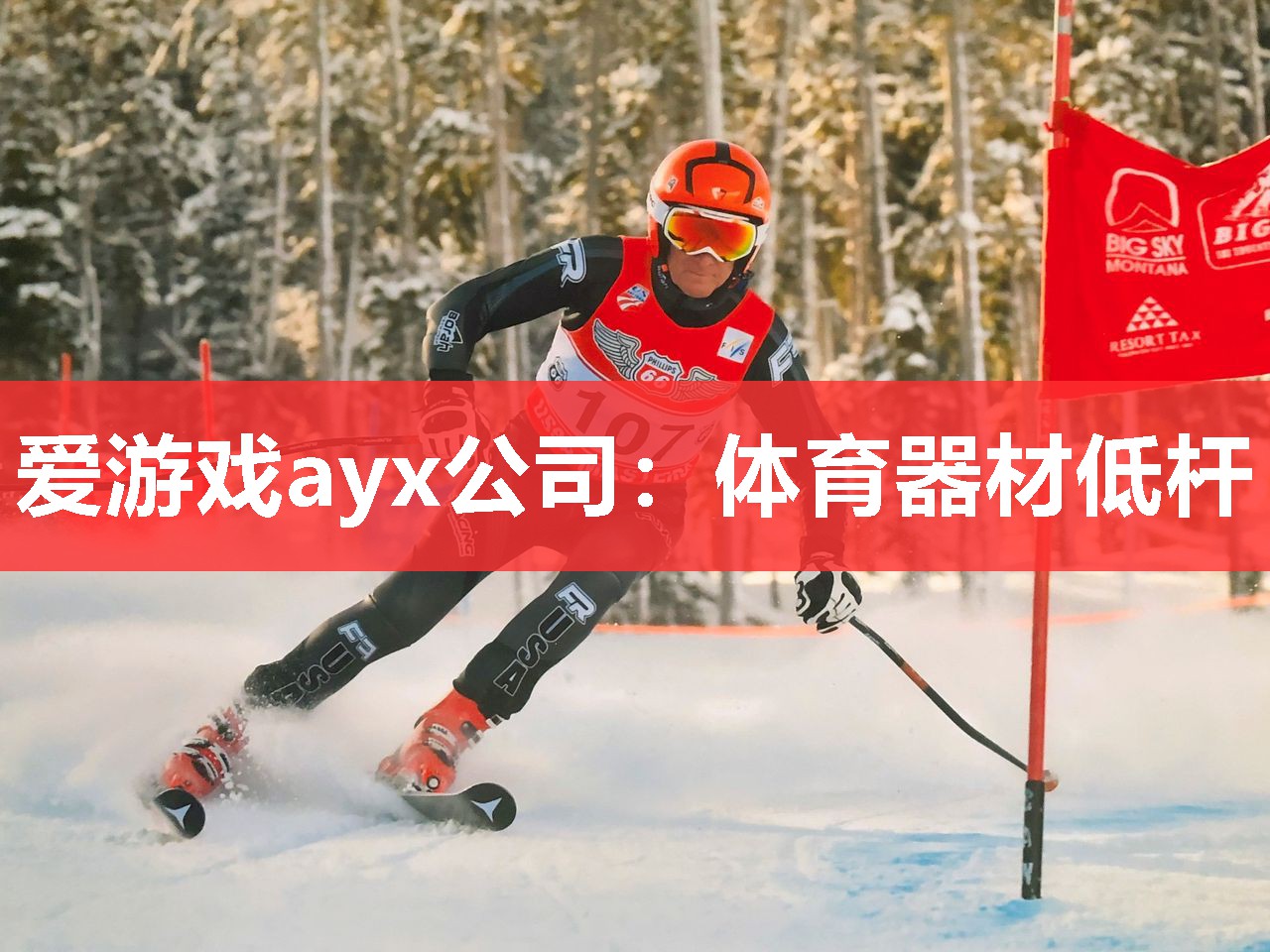 爱游戏ayx公司：体育器材低杆