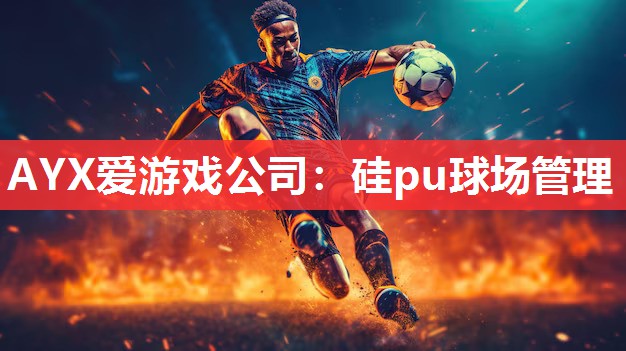 AYX爱游戏公司：硅pu球场管理
