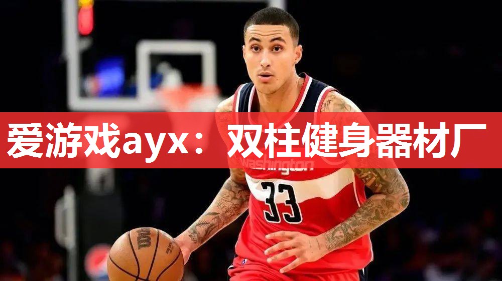 爱游戏ayx：双柱健身器材厂