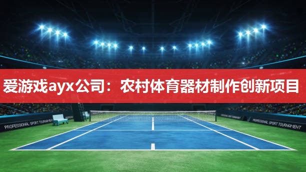 爱游戏ayx公司：农村体育器材制作创新项目