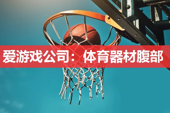 爱游戏公司：体育器材腹部