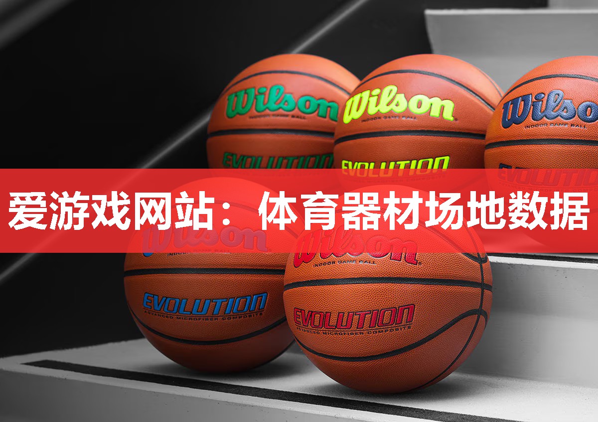爱游戏网站：体育器材场地数据