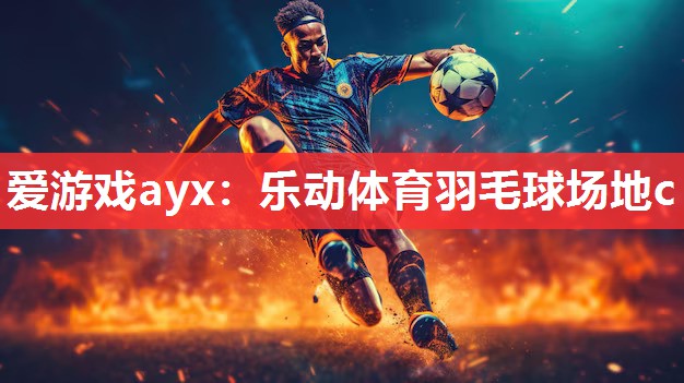 爱游戏ayx：乐动体育羽毛球场地c