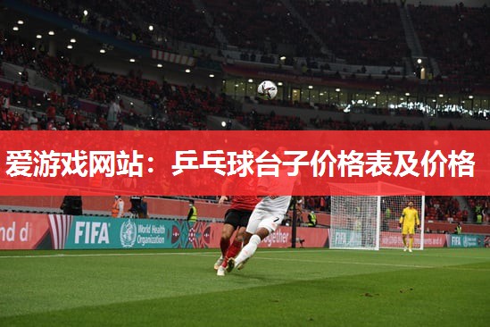 爱游戏网站：乒乓球台子价格表及价格