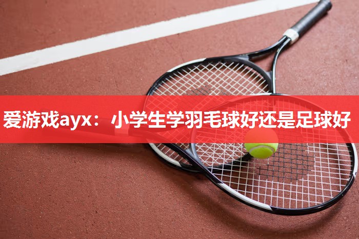 爱游戏ayx：小学生学羽毛球好还是足球好