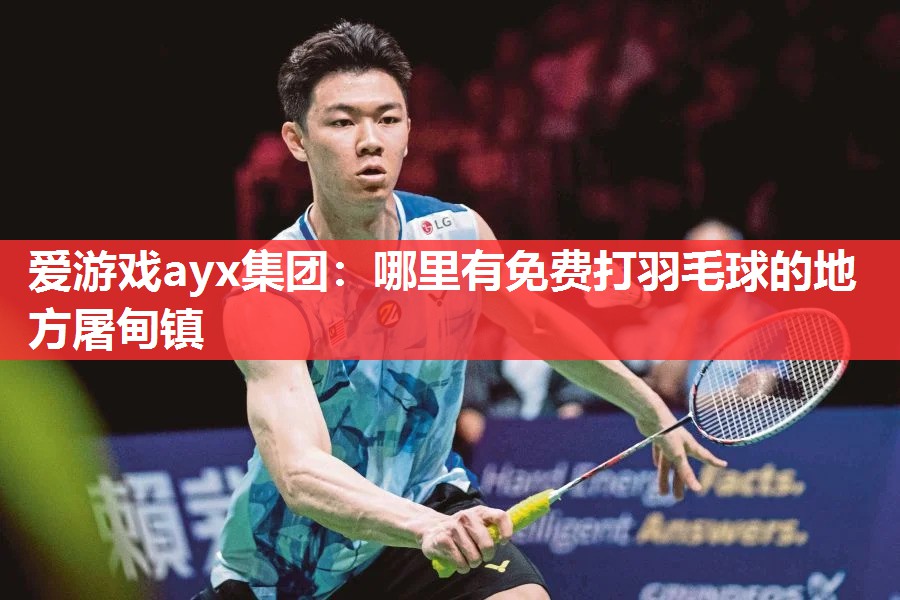 爱游戏ayx集团：哪里有免费打羽毛球的地方屠甸镇