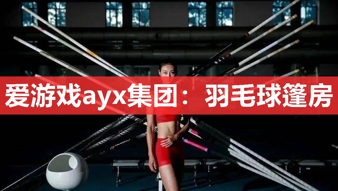 爱游戏ayx集团：羽毛球篷房