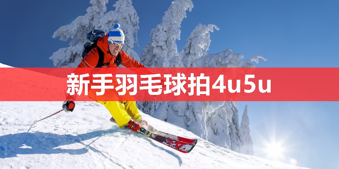 新手羽毛球拍4u5u