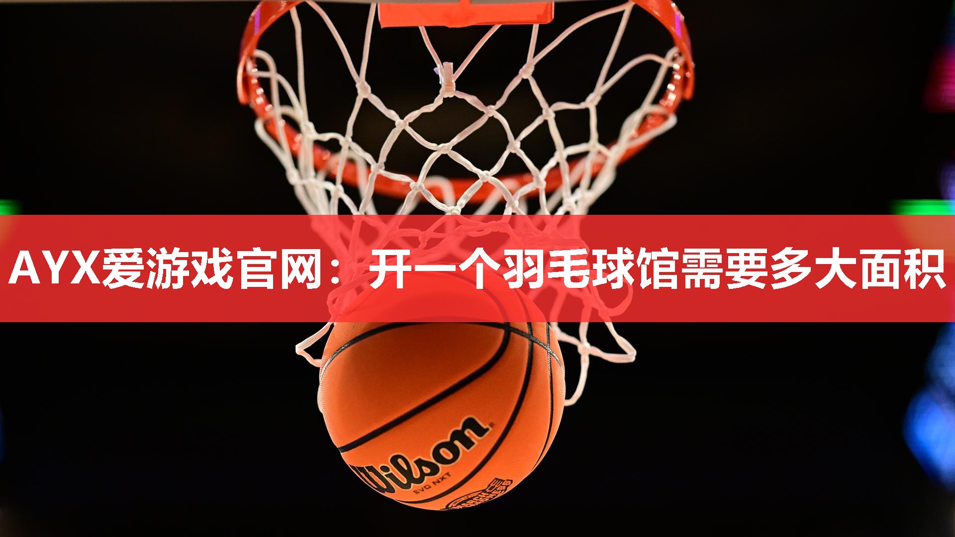 AYX爱游戏官网：开一个羽毛球馆需要多大面积
