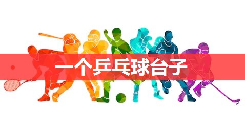 一个乒乓球台子