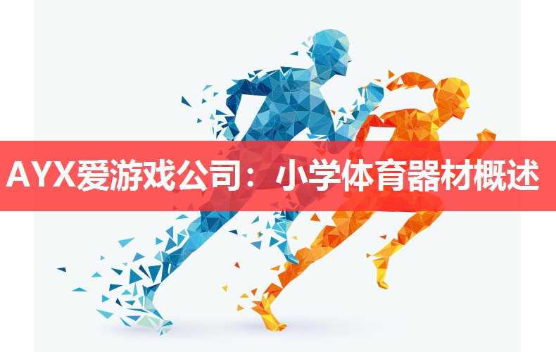 AYX爱游戏公司：小学体育器材概述