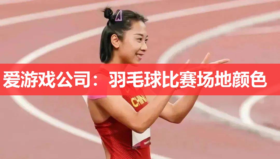 爱游戏公司：羽毛球比赛场地颜色