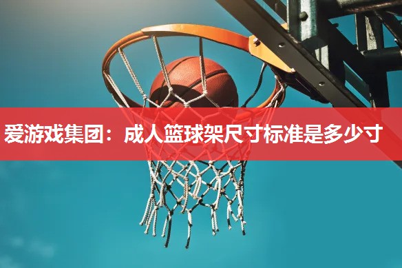 爱游戏集团：成人篮球架尺寸标准是多少寸