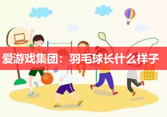 爱游戏集团：羽毛球长什么样子