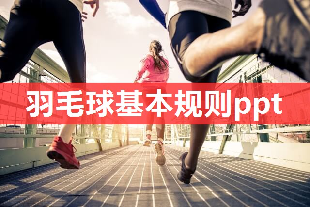 羽毛球基本规则ppt