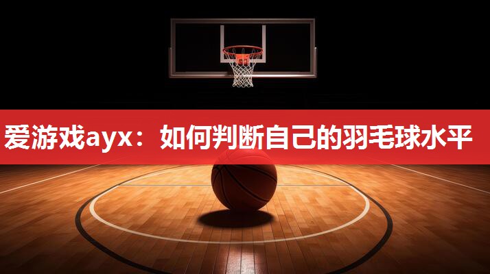 爱游戏ayx：如何判断自己的羽毛球水平