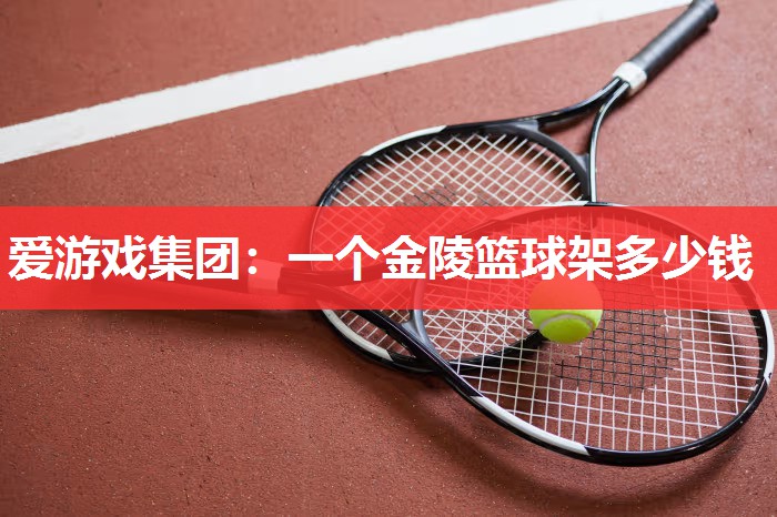 爱游戏集团：一个金陵篮球架多少钱