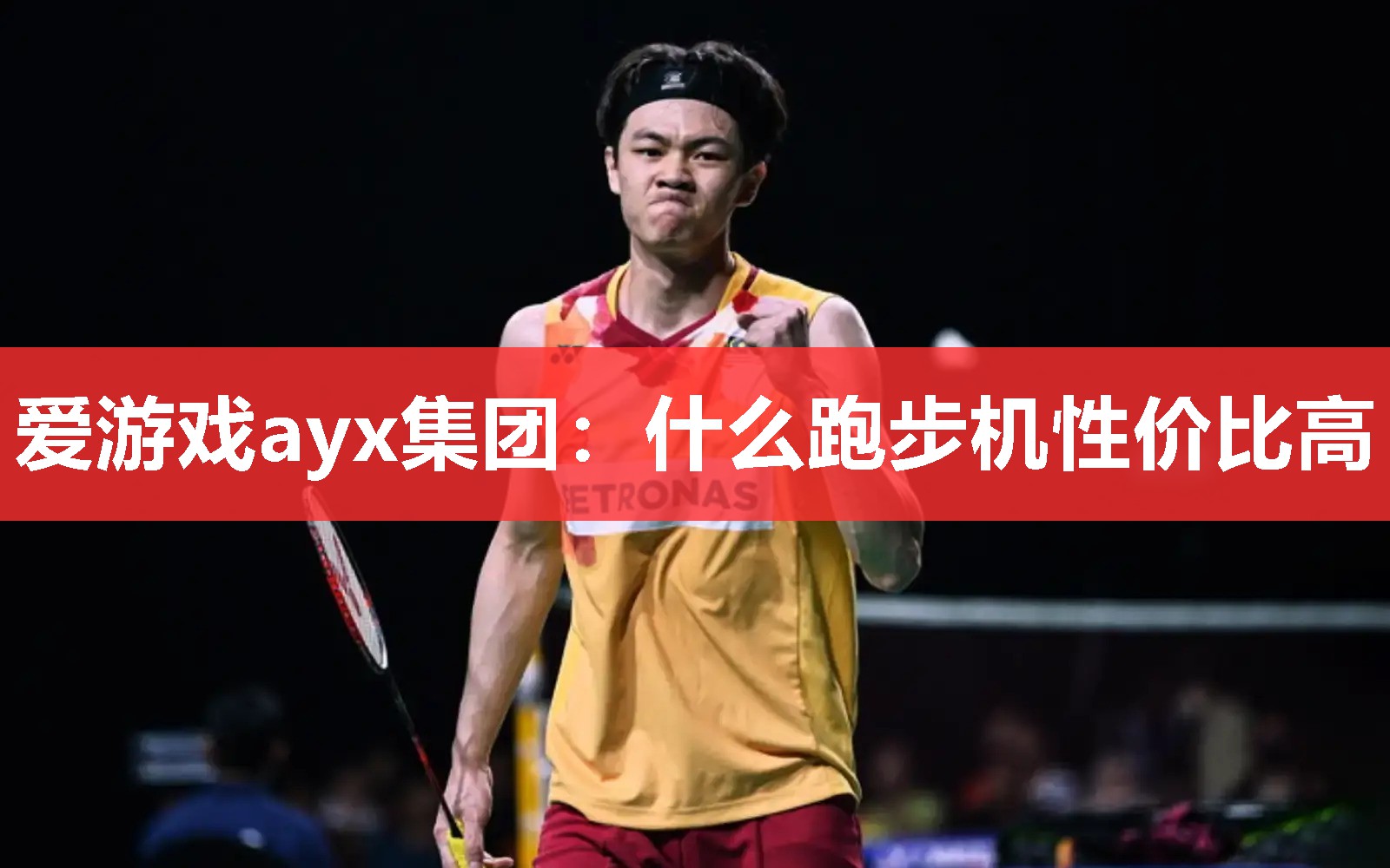 爱游戏ayx集团：什么跑步机性价比高