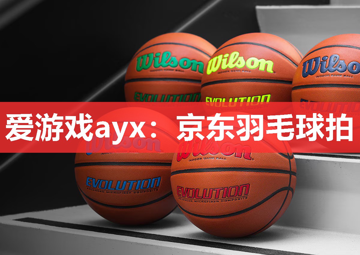 爱游戏ayx：京东羽毛球拍
