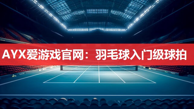 AYX爱游戏官网：羽毛球入门级球拍