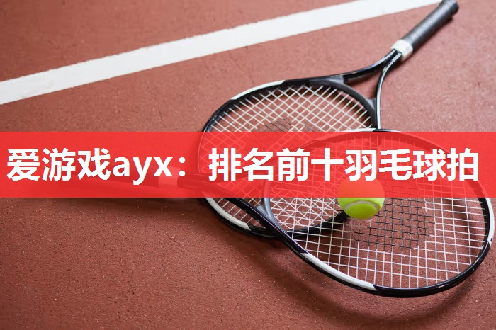 爱游戏ayx：排名前十羽毛球拍