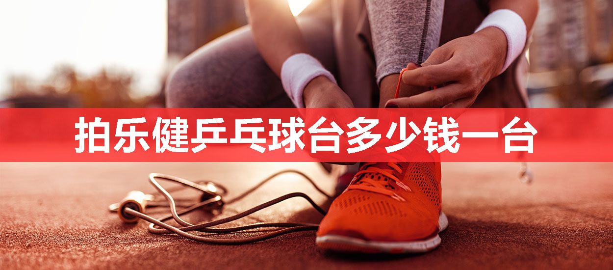 拍乐健乒乓球台多少钱一台