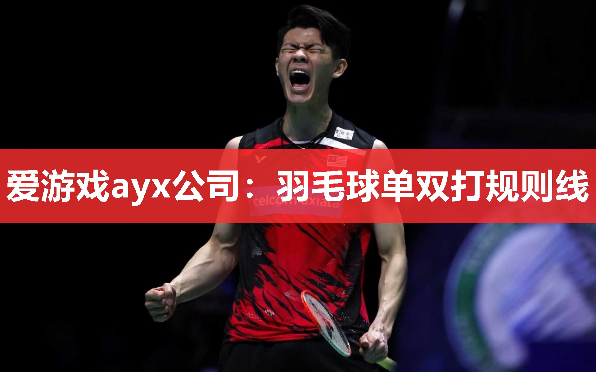 爱游戏ayx公司：羽毛球单双打规则线