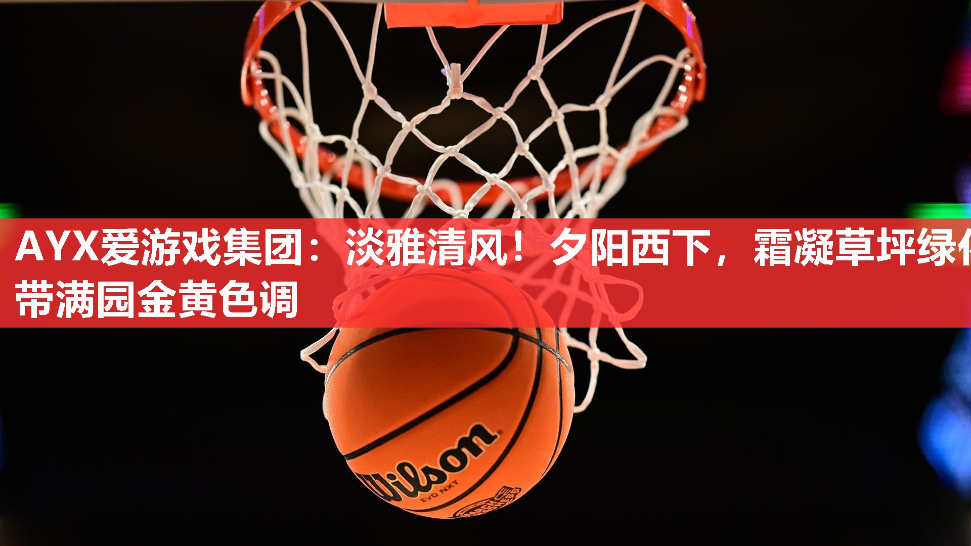 AYX爱游戏集团：淡雅清风！夕阳西下，霜凝草坪绿化带满园金黄色调
