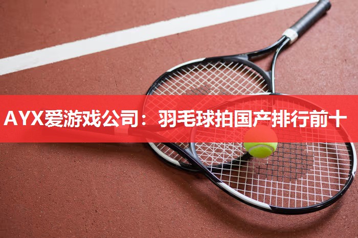 AYX爱游戏公司：羽毛球拍国产排行前十