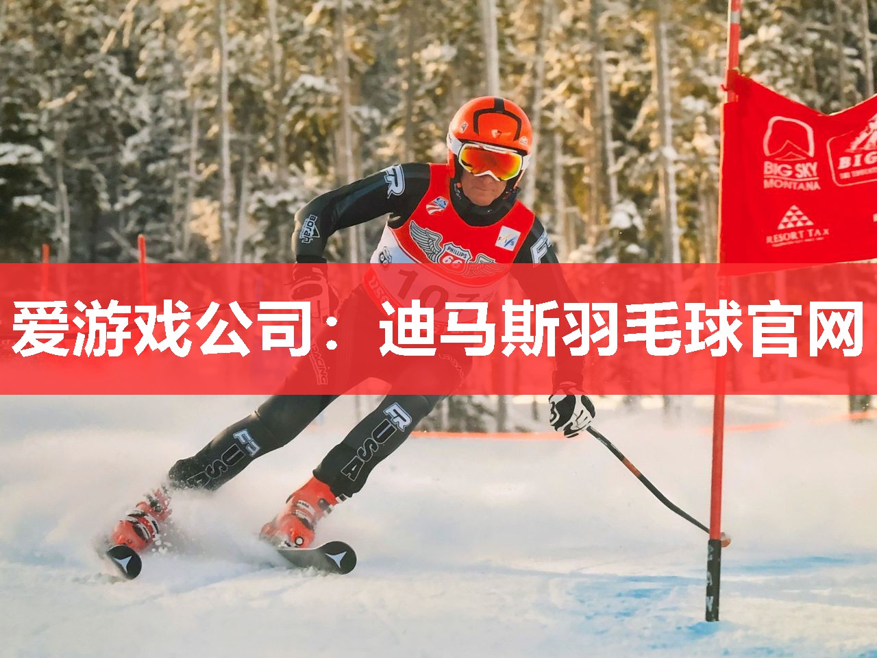 爱游戏公司：迪马斯羽毛球官网
