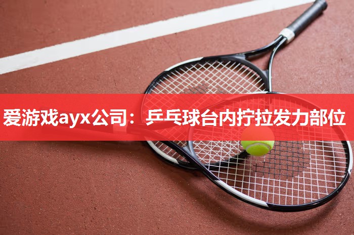 乒乓球台内拧拉发力部位 乒乓球台内拧拉发力部位