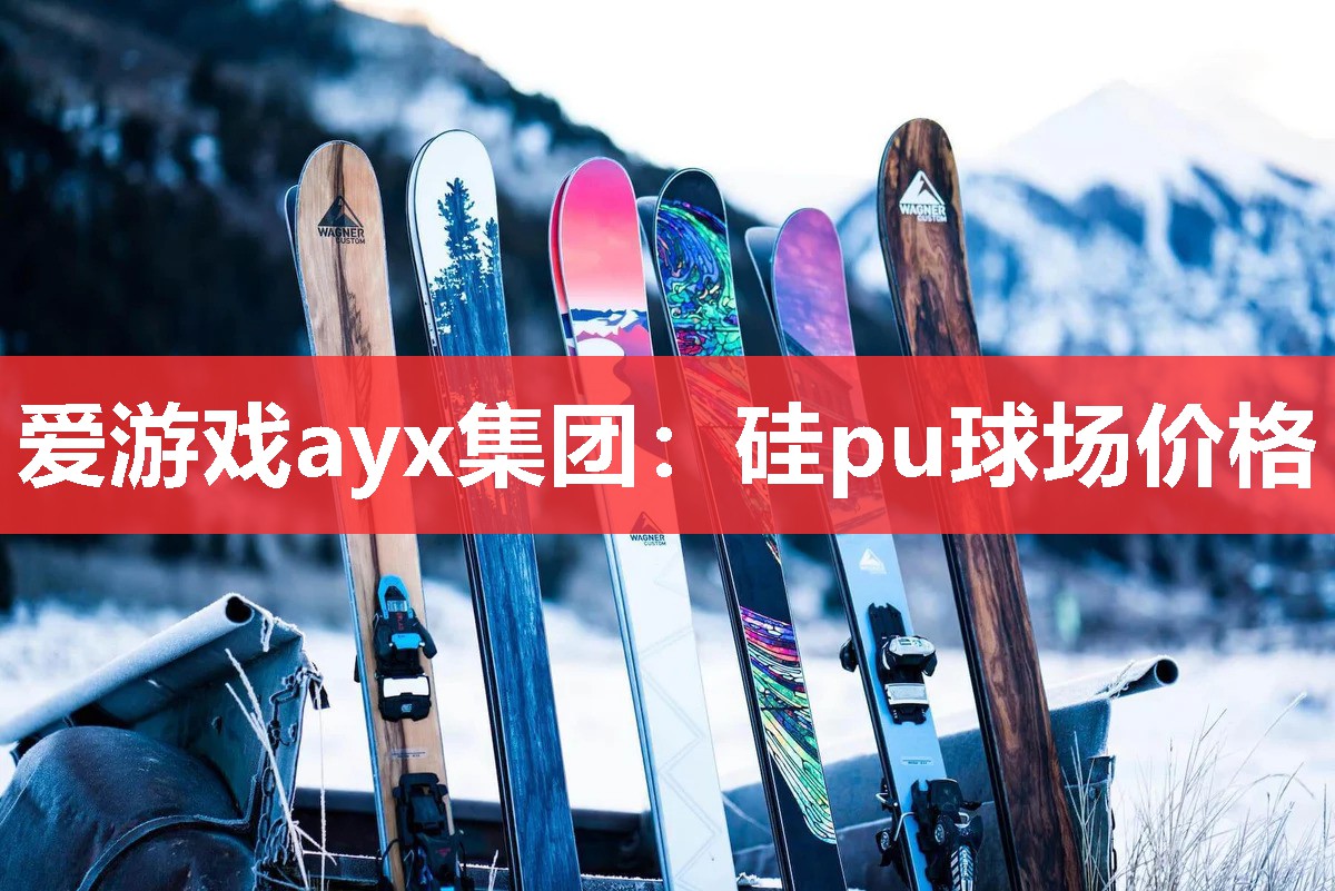 硅pu球场价格 硅pu球场价格