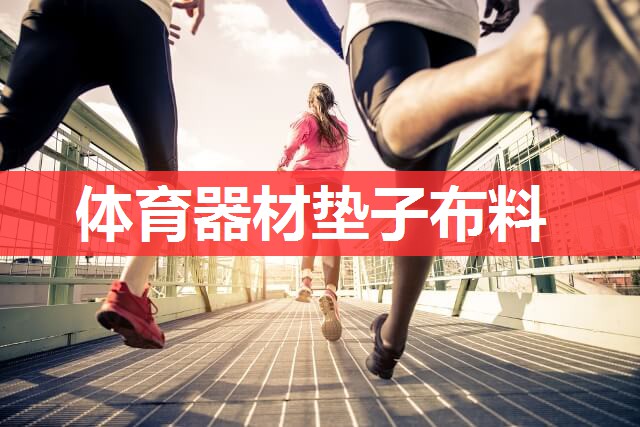 体育器材垫子布料 体育器材垫子布料