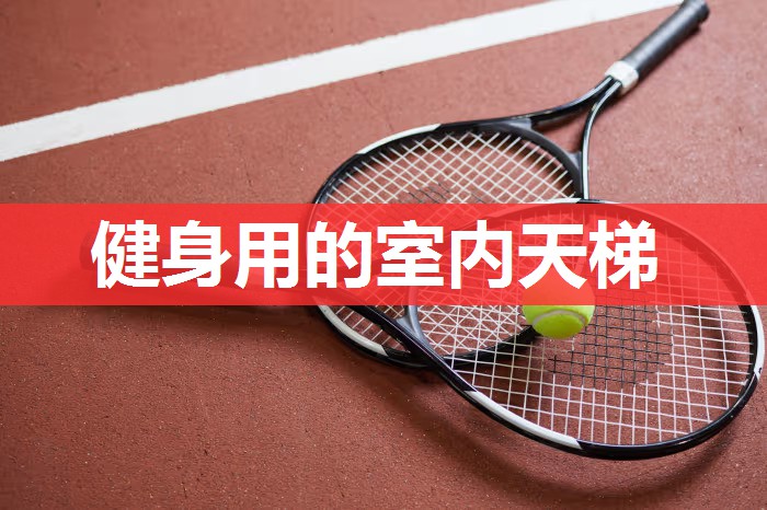 健身用的室内天梯 健身用的室内天梯