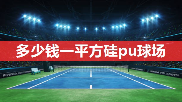 多少钱一平方硅pu球场 多少钱一平方硅pu球场