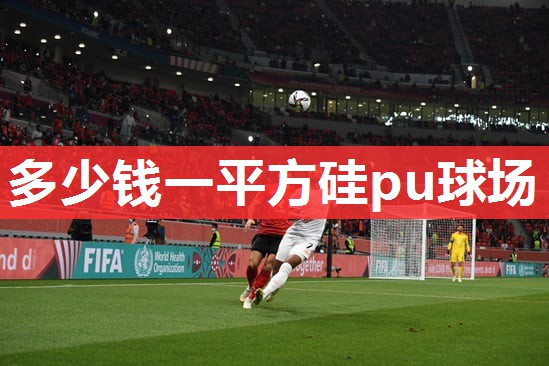 多少钱一平方硅pu球场 多少钱一平方硅pu球场