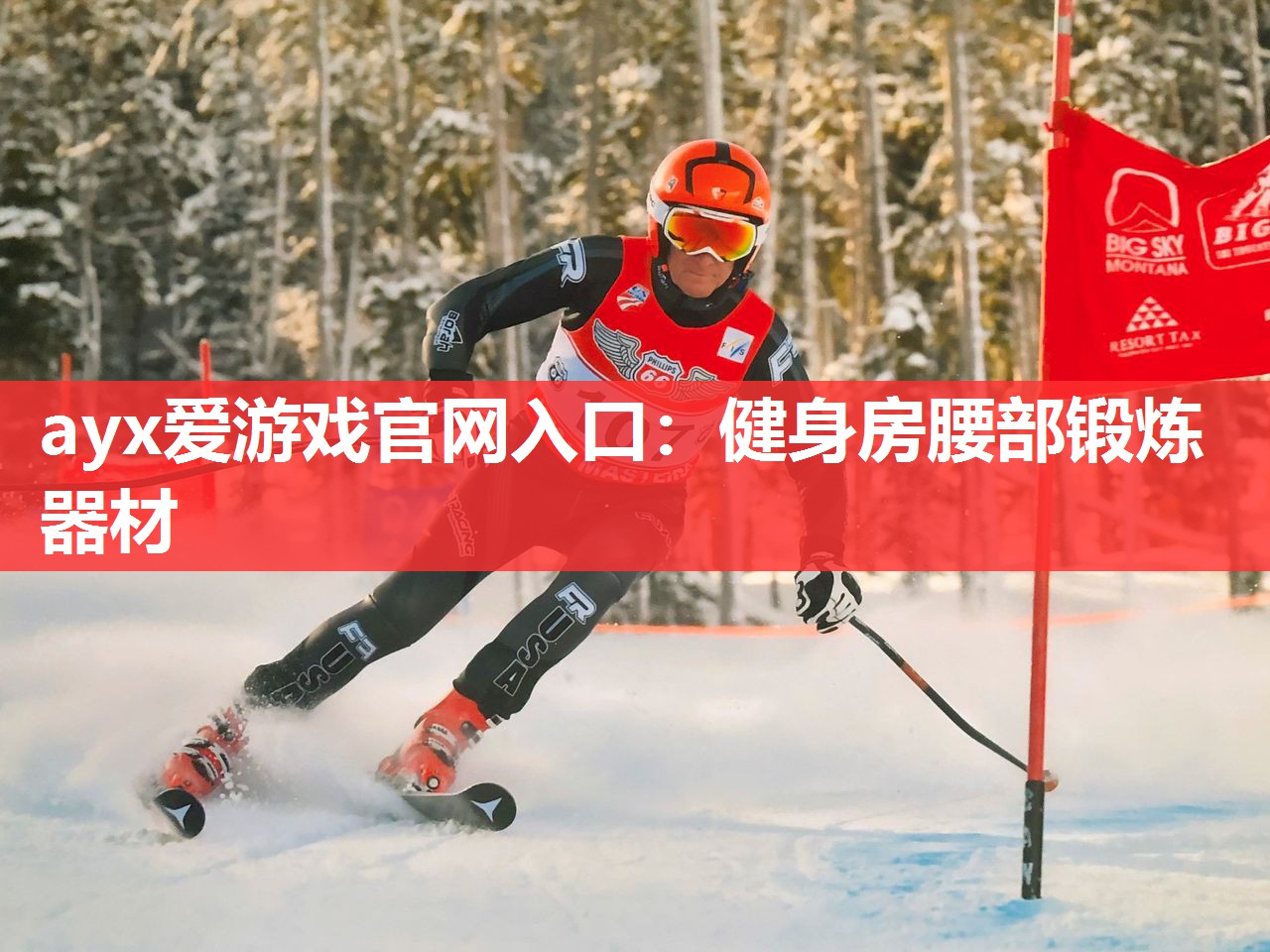 健身房腰部锻炼器材 健身房腰部锻炼器材