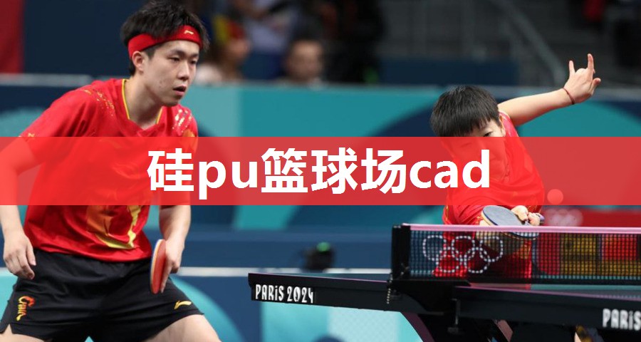 硅pu篮球场cad 硅pu篮球场cad