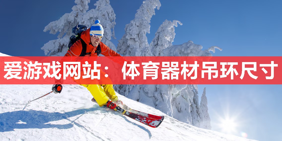体育器材吊环尺寸 体育器材吊环尺寸
