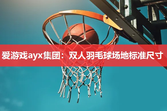双人羽毛球场地标准尺寸 双人羽毛球场地标准尺寸