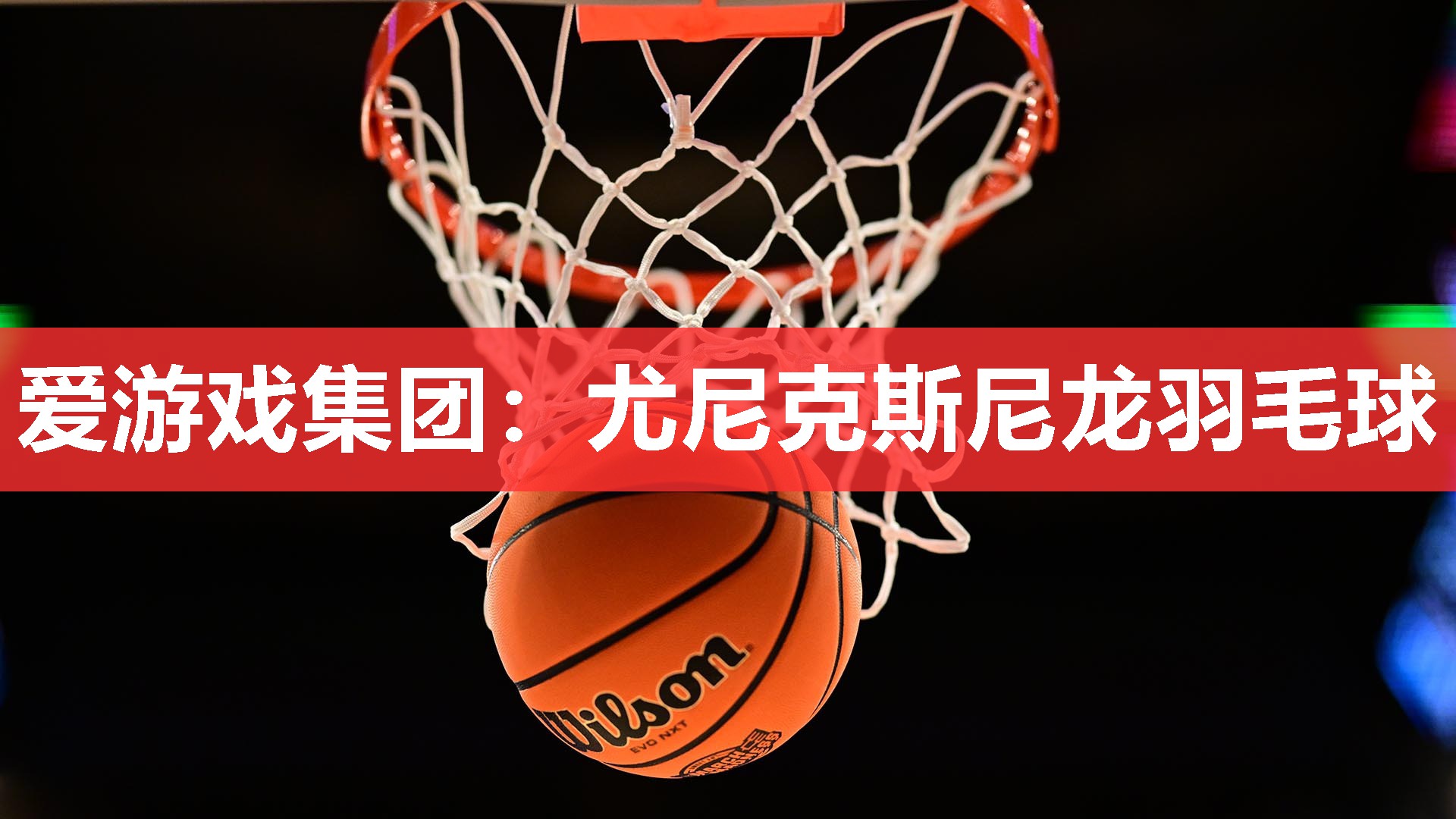 尤尼克斯尼龙羽毛球 尤尼克斯尼龙羽毛球
